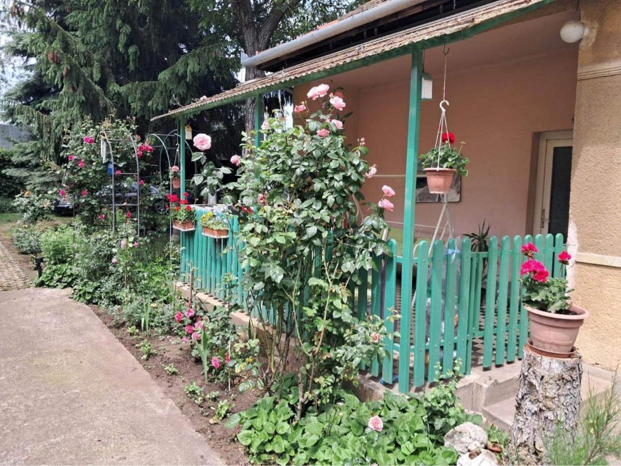 Grany'S Retro Guesthouse Near Budapest Airport Vecses Luaran gambar